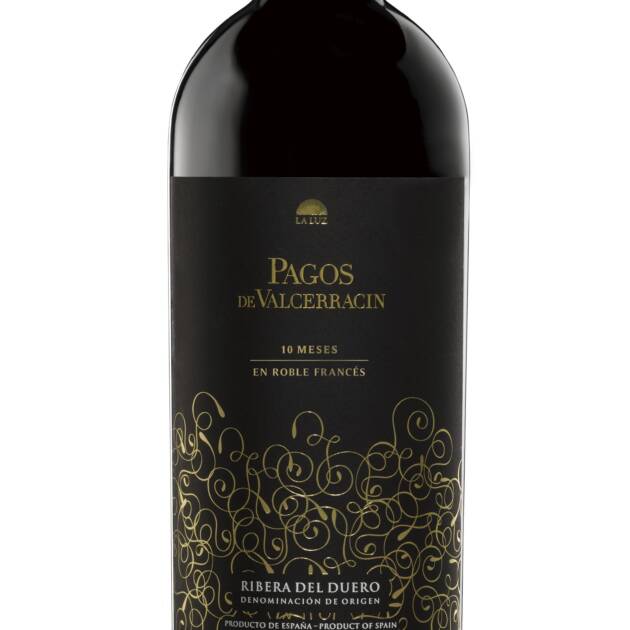 Magnum 1,5 l. Pagos de Valcerracín 10 meses en roble francés 2019 - España